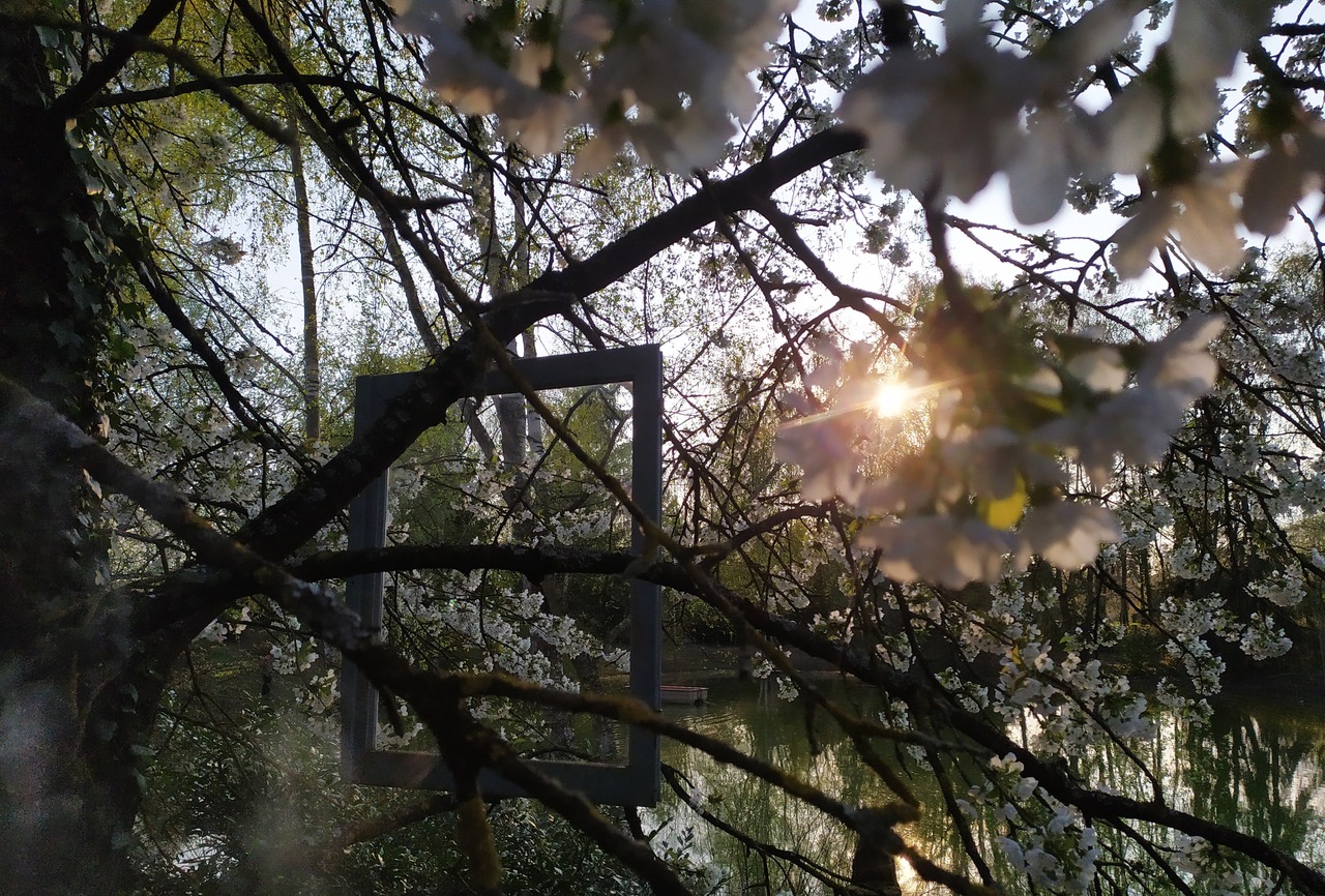 Ferreira Juliette photo 1